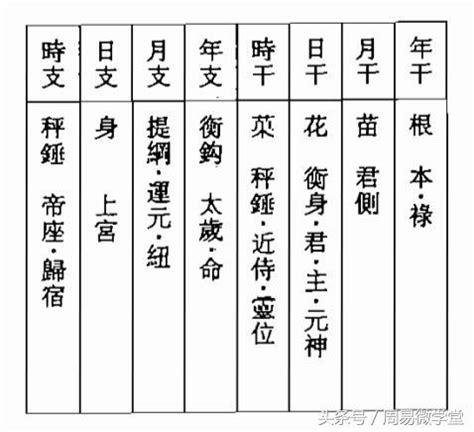 八字 宮位|八字算命四柱宮位配圖解釋，簡潔明了、直觀大方